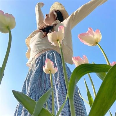 搅局专家